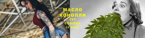 прущий лед Вяземский