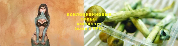 mix Горно-Алтайск