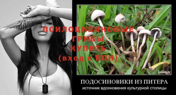 дмт Горнозаводск
