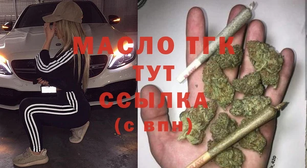 прущий лед Вяземский