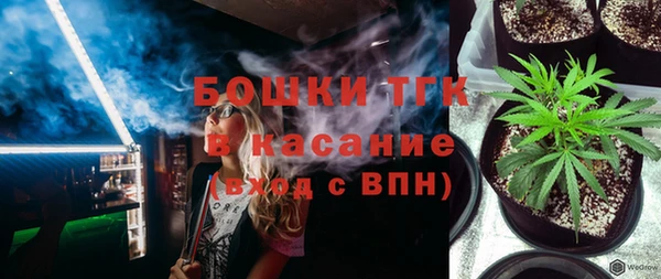 прущий лед Вяземский