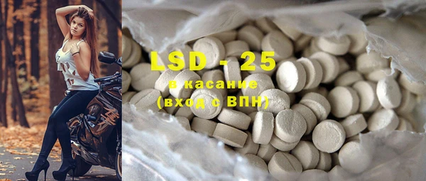 прущий лед Вяземский