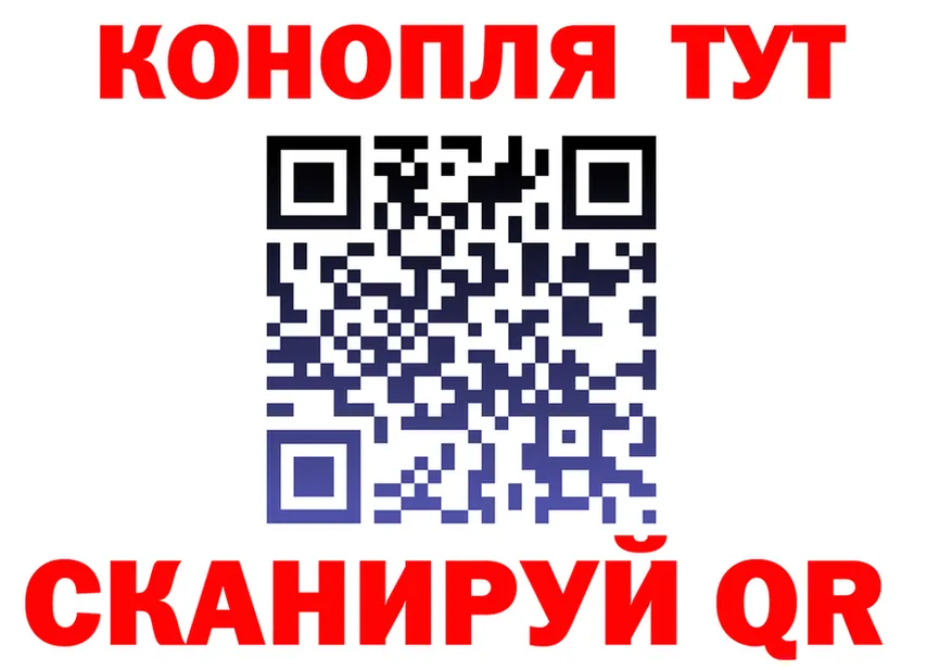 Alfa_PVP СК зеркало площадка KRAKEN Малая Вишера