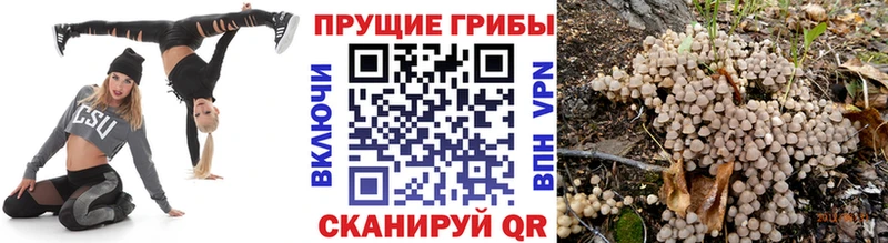 Псилоцибиновые грибы Magic Shrooms  Купить  Малая Вишера 