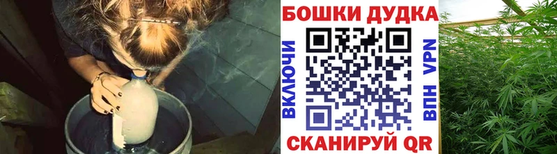 Купить где  Малая Вишера  Бошки Шишки семена 